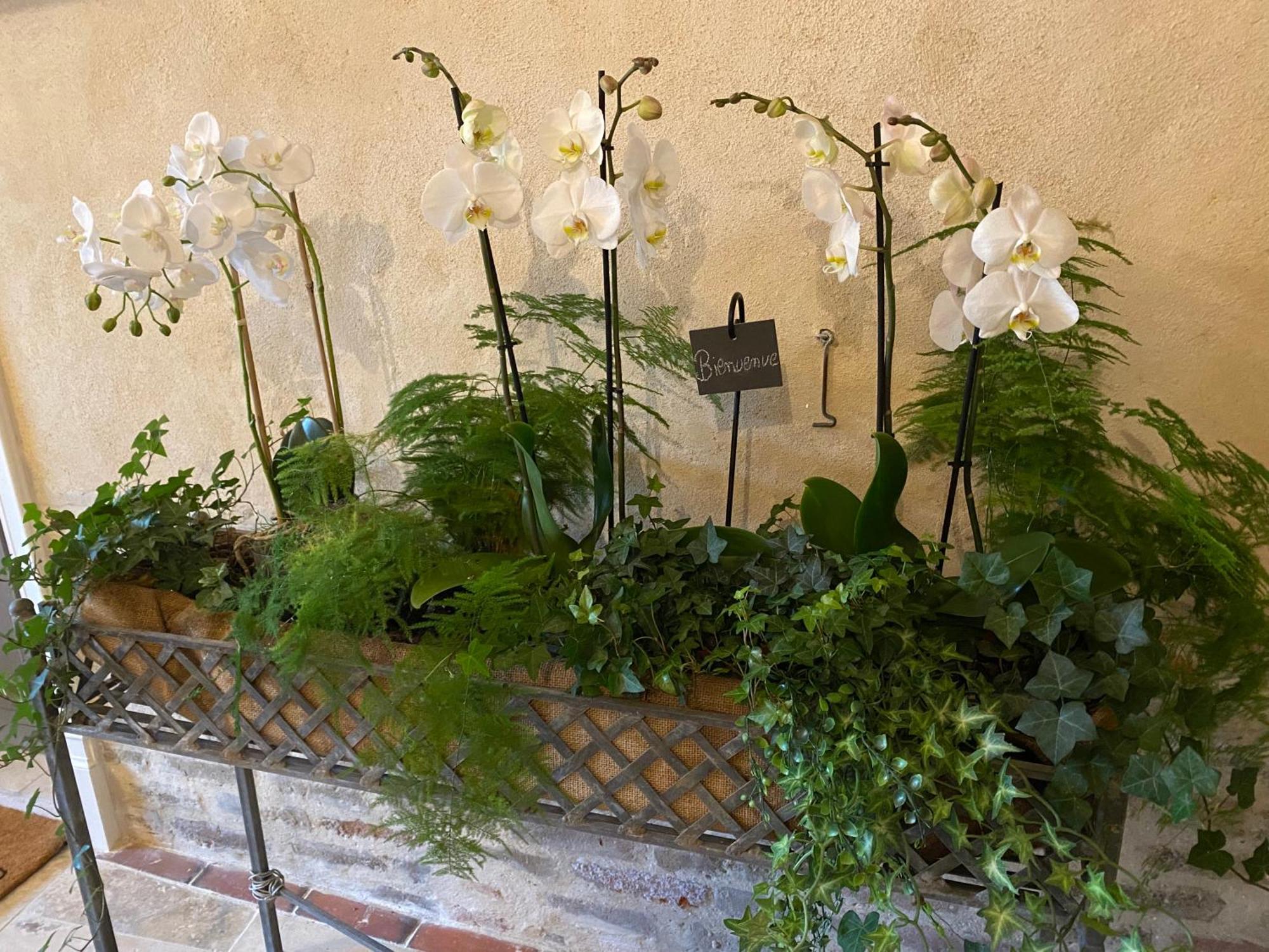 Les Hortensias Canly Exterior photo