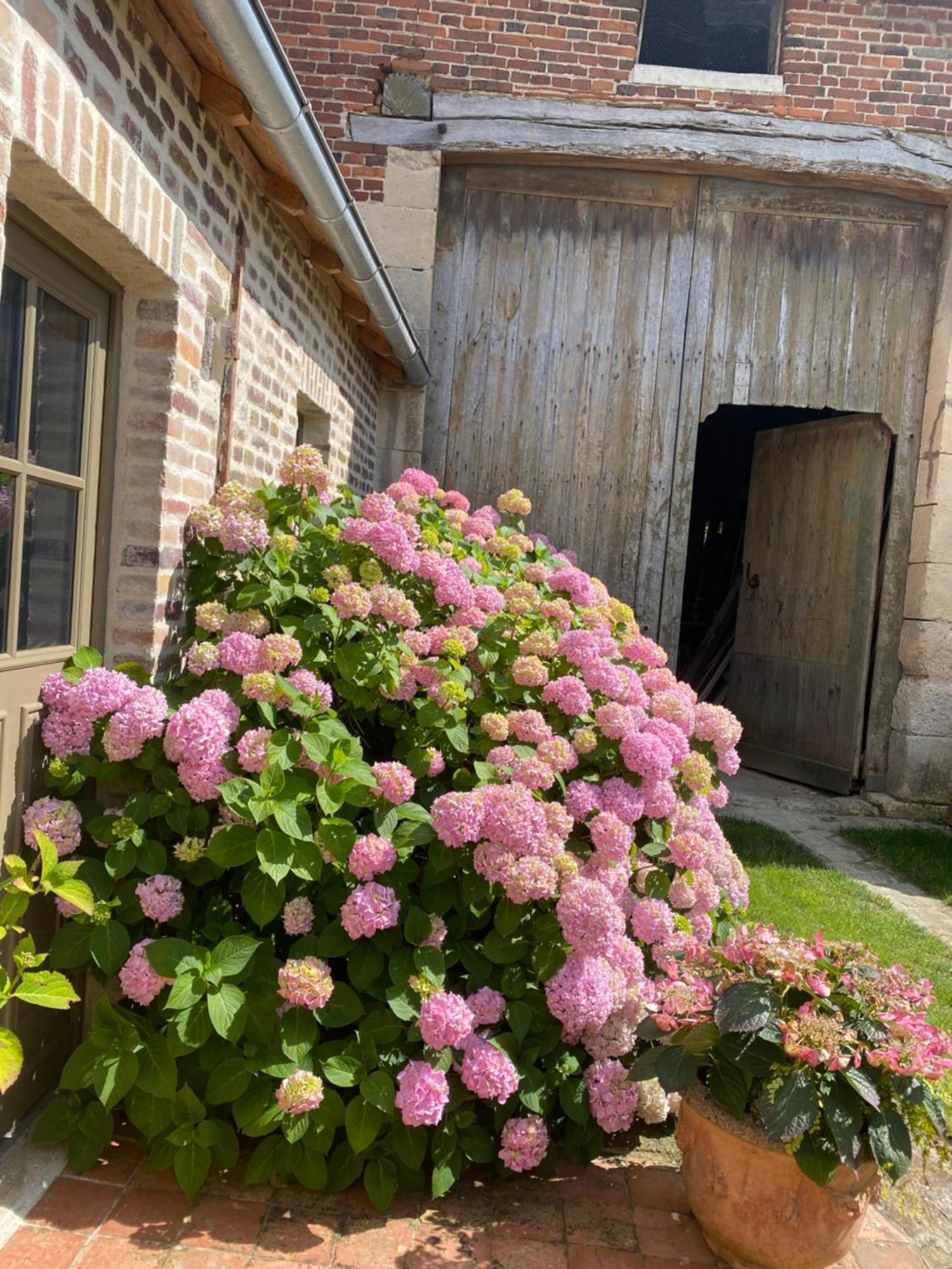 Les Hortensias Canly Exterior photo